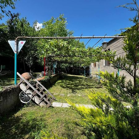 Qilimcha'S Guesthouse-Art Museum テラヴィ エクステリア 写真